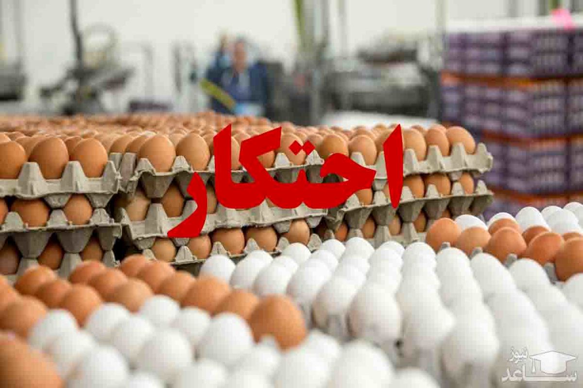 پلمب انبار احتکار تخم مرغ در گالیکش/ توزیع تخم مرغ های احتکار شده با نرخ دولتی