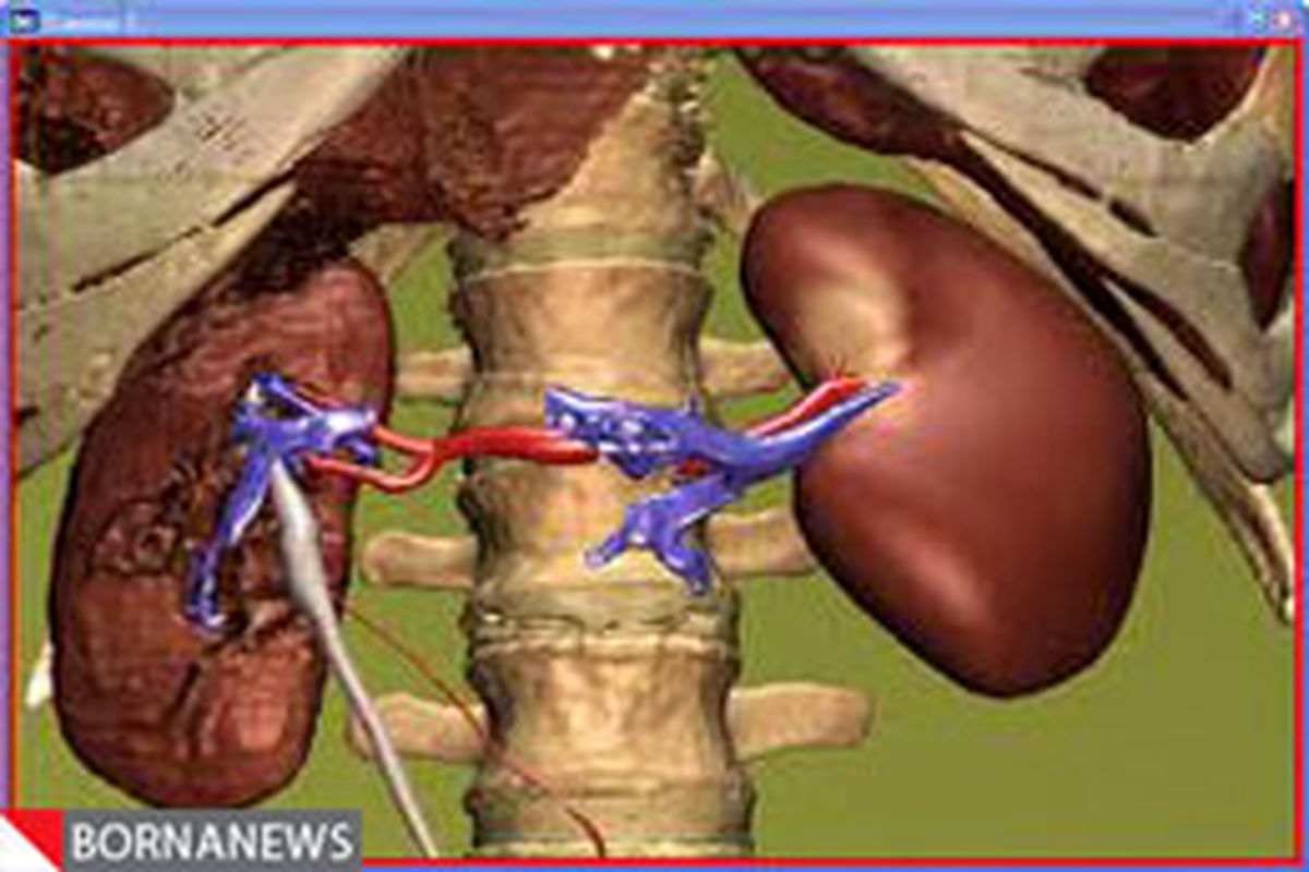 کاهش عفونت ادرار با این غذای خوشمزه