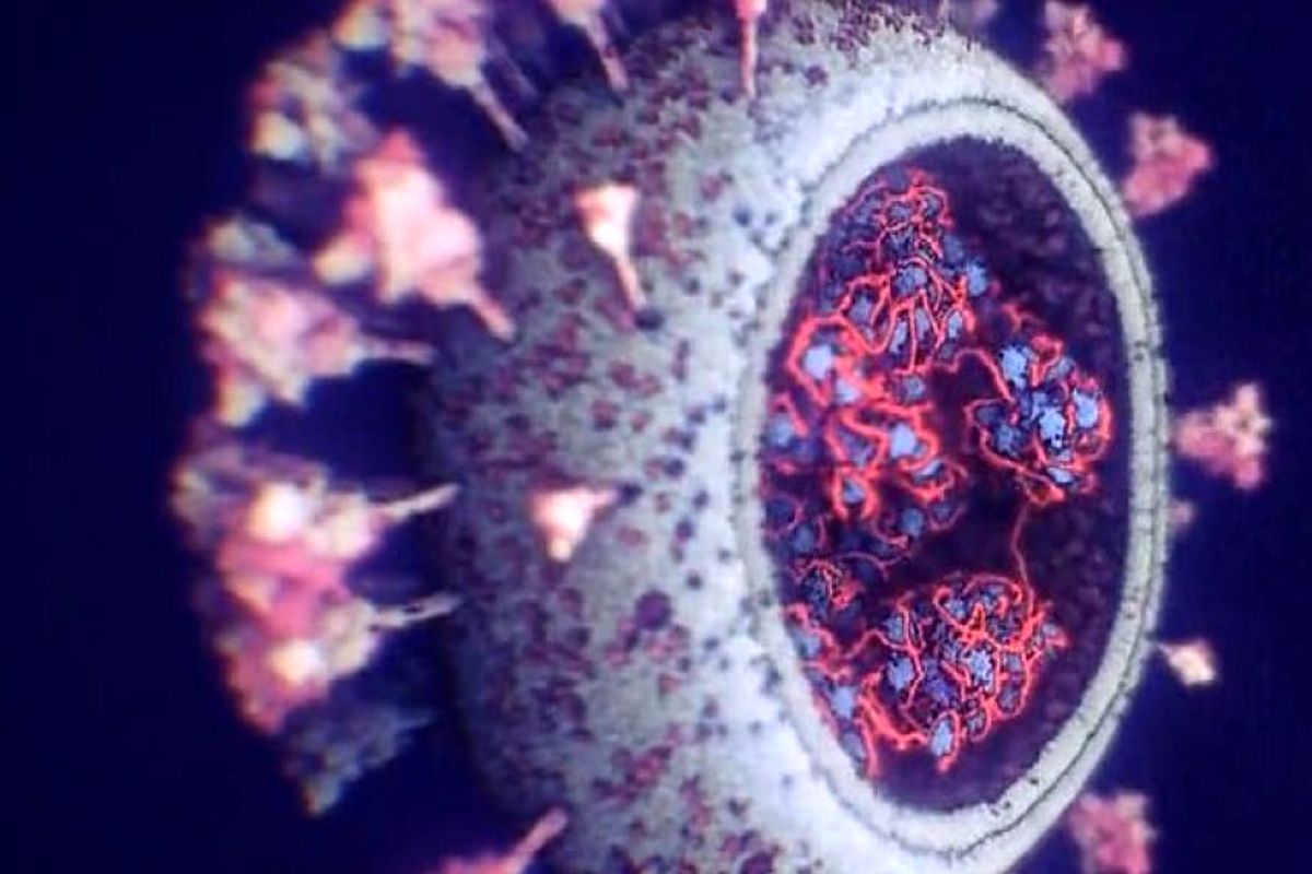 جدیدترین جزییات از روند کاری ویروس کرونا در بدن+ببینید