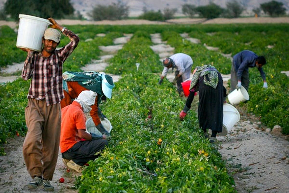 شکاف دستمزد در میان کارگران روستایی به روایت آمار +جدول