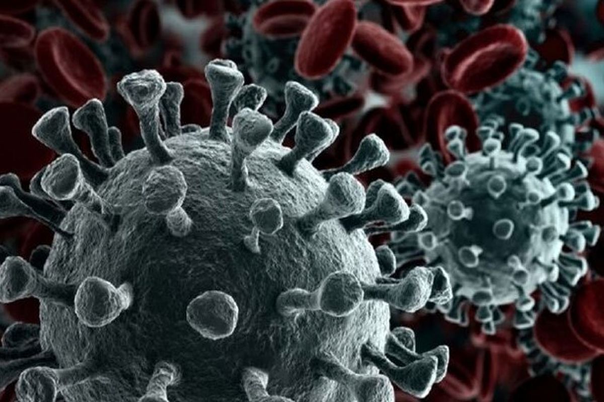 ۷ نوع کرونا ویروس کشف شد