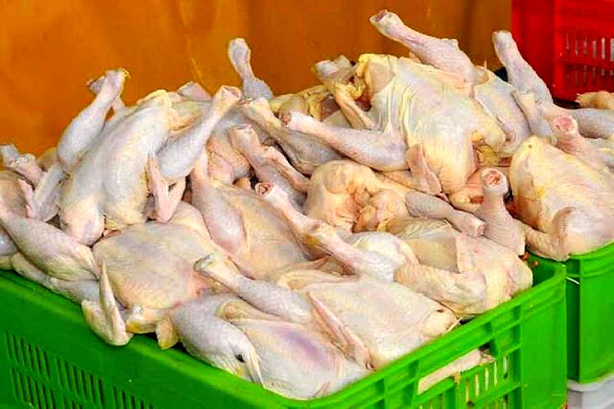 برخورد جدی با گرانفروشان مرغ