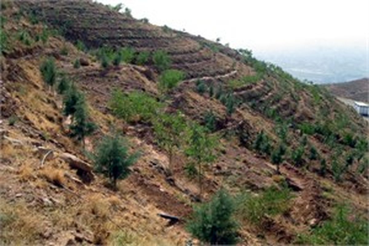 قلع و قمع ۱۰۰ میلیارد  اراضی ملی در سپیدان