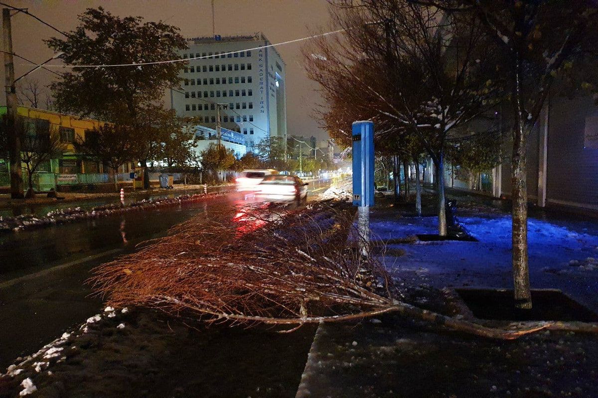 بارش برف پاییزی منجر به شکسته شدن  ۵۰۰ شاخه درخت در ارومیه شد
