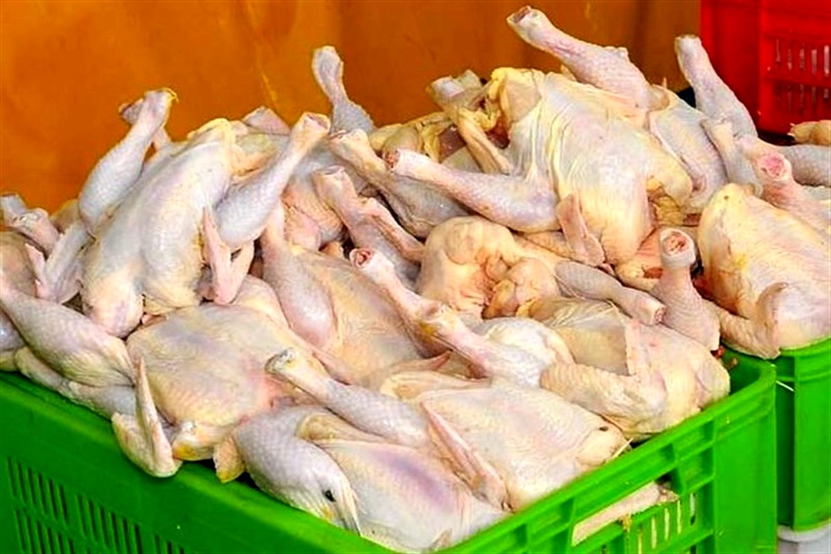 عرضه گسترده مرغ گرم در تهران