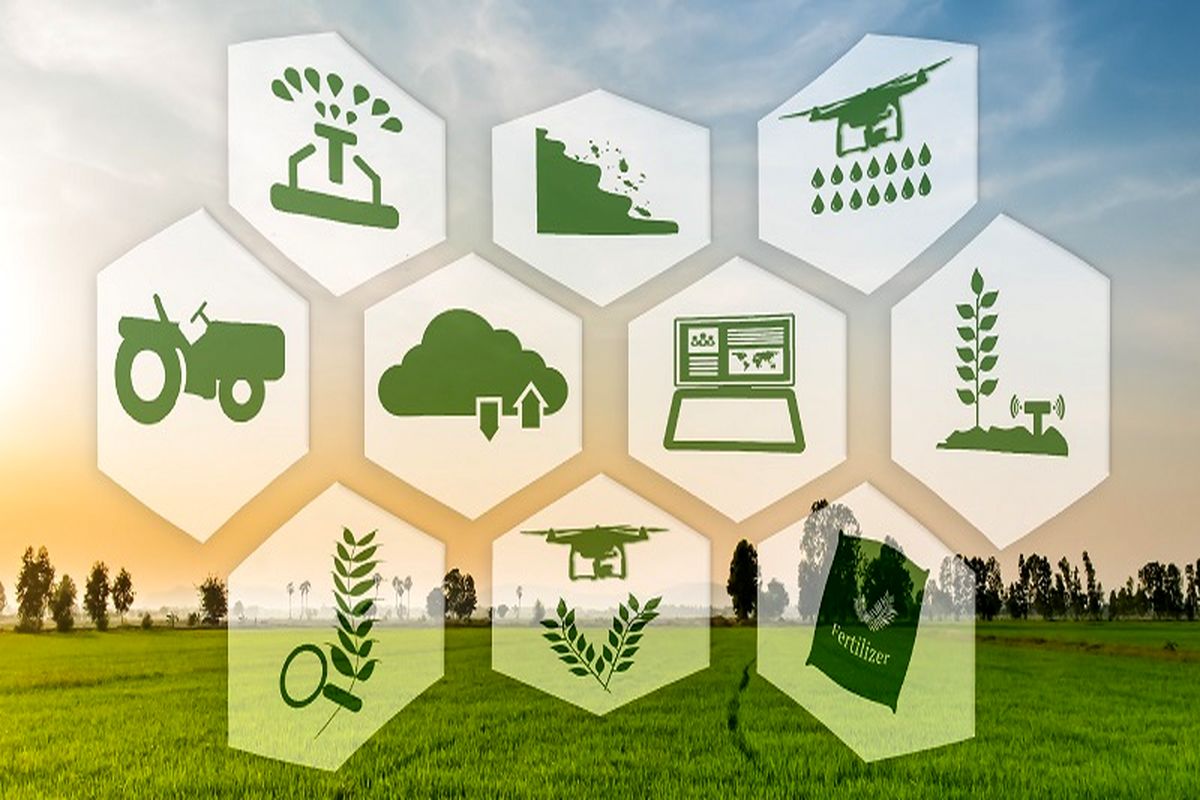 اجرای ۲۰ طرح پایلوت هوشمندسازی کشاورزی با مشارکت بخش خصوصی