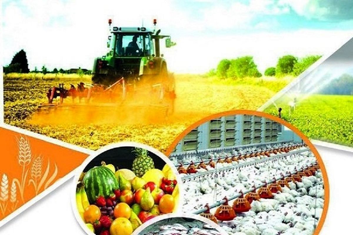 ارزآوری ۳.۴ میلیارد دلاری صادرات محصولات کشاورزی و غذا در ۸ ماهه سال جاری
