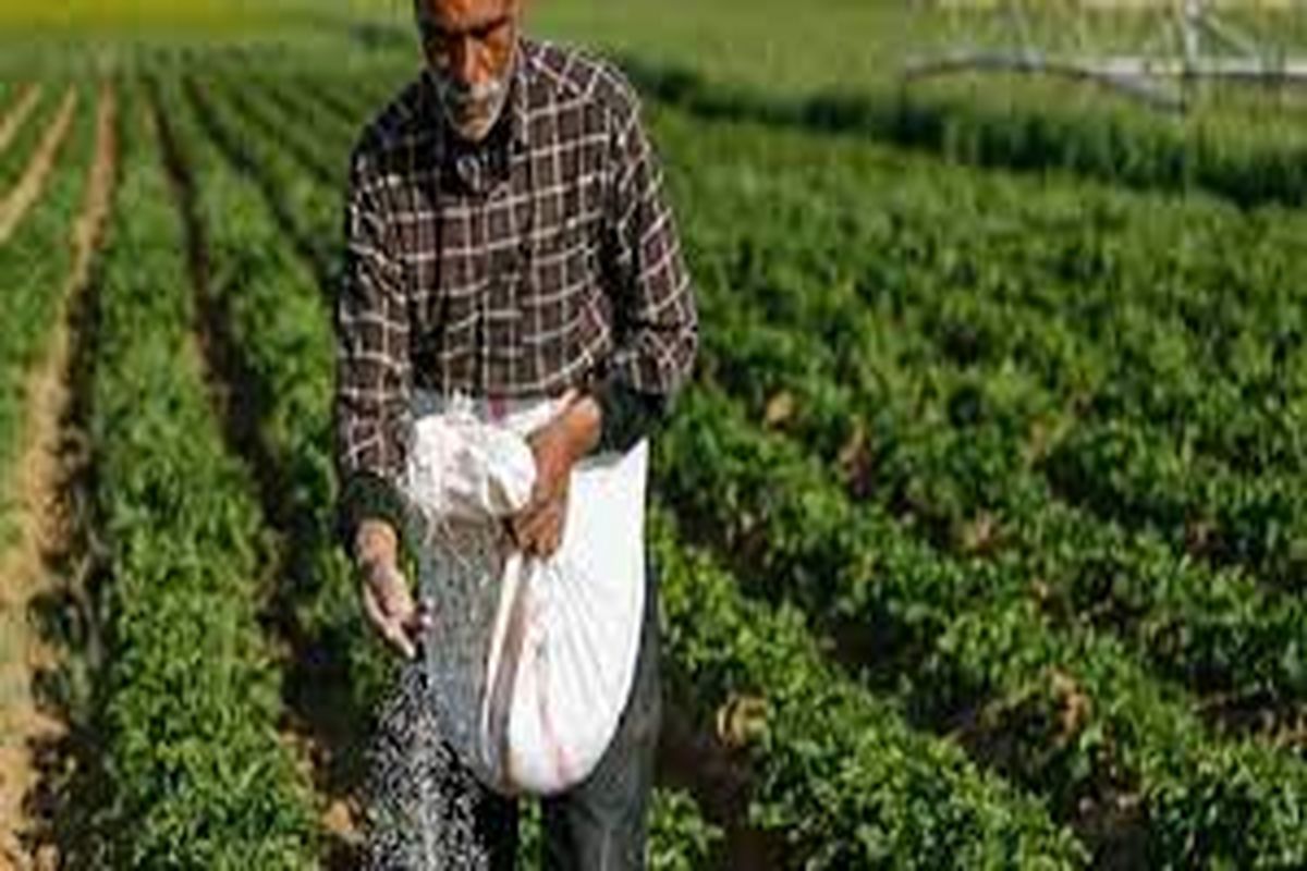 مصرف کم کودهای شیمیایی توسط کشاورزان خراسان شمالی