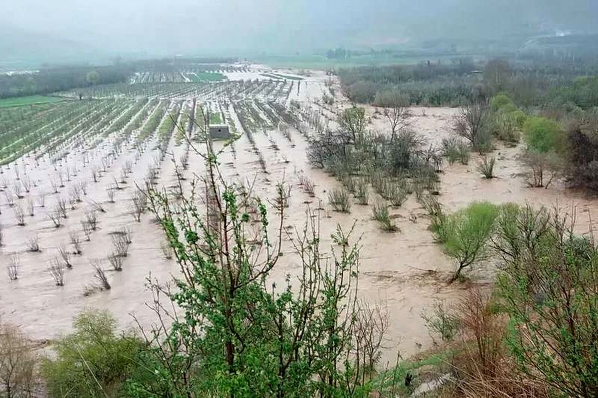 سیلاب به کشاورزی سیستان و بلوچستان بیش از ٣٧۵ میلیارد تومان خسارت زد