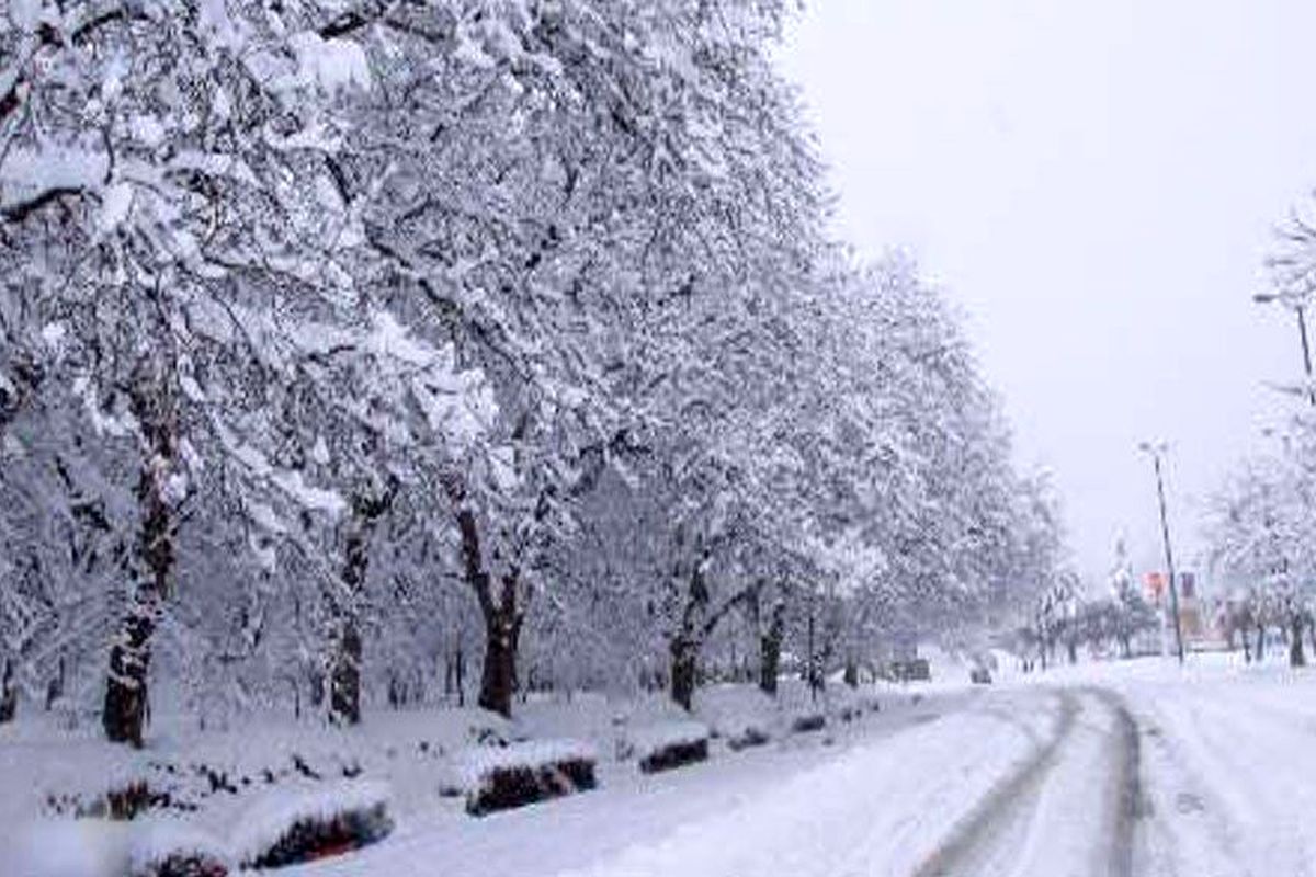 بارش برف و باران در استان قزوین به صورت پراکنده روز سه شنبه هم ادامه دارد/ هوا سردتر می شود