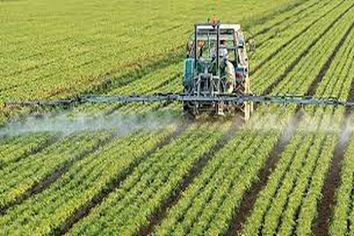 میزان مصرف سموم در اراضی کشاورزی خراسان شمالی کاهش یافت