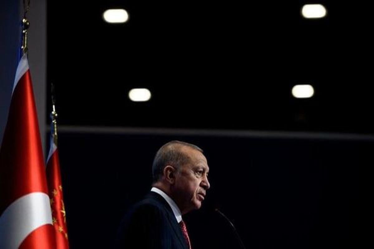 پای اردوغان به تنش‌های روسیه و اوکراین کشیده شد