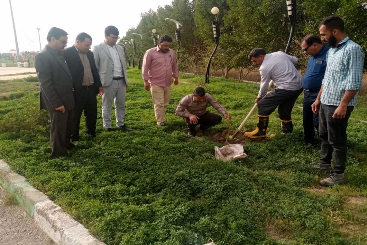 کاشت درختان مثمر و سازگار با اقلیم در دستور کار شهرداری خنافره است