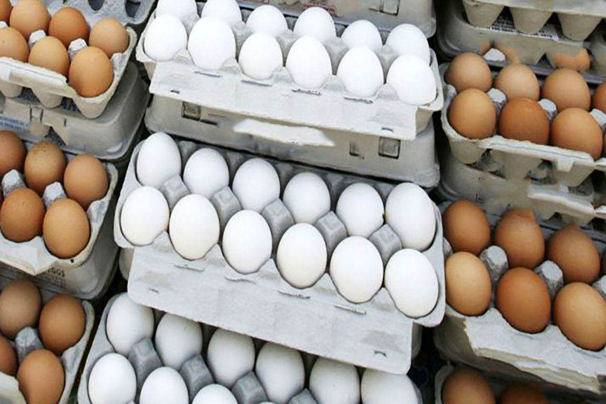 کشور با مازاد تولید تخم‌مرغ روبه‌رو است/ قیمت ۵۵ هزار تومانی گران‌فروشی است