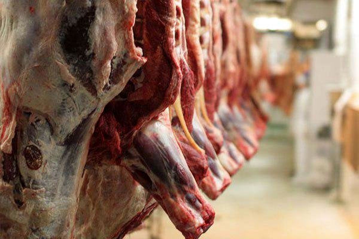 واردات ۱۰ هزارتن گوشت گرم گوسفندی برای تنظیم بازار شب عید