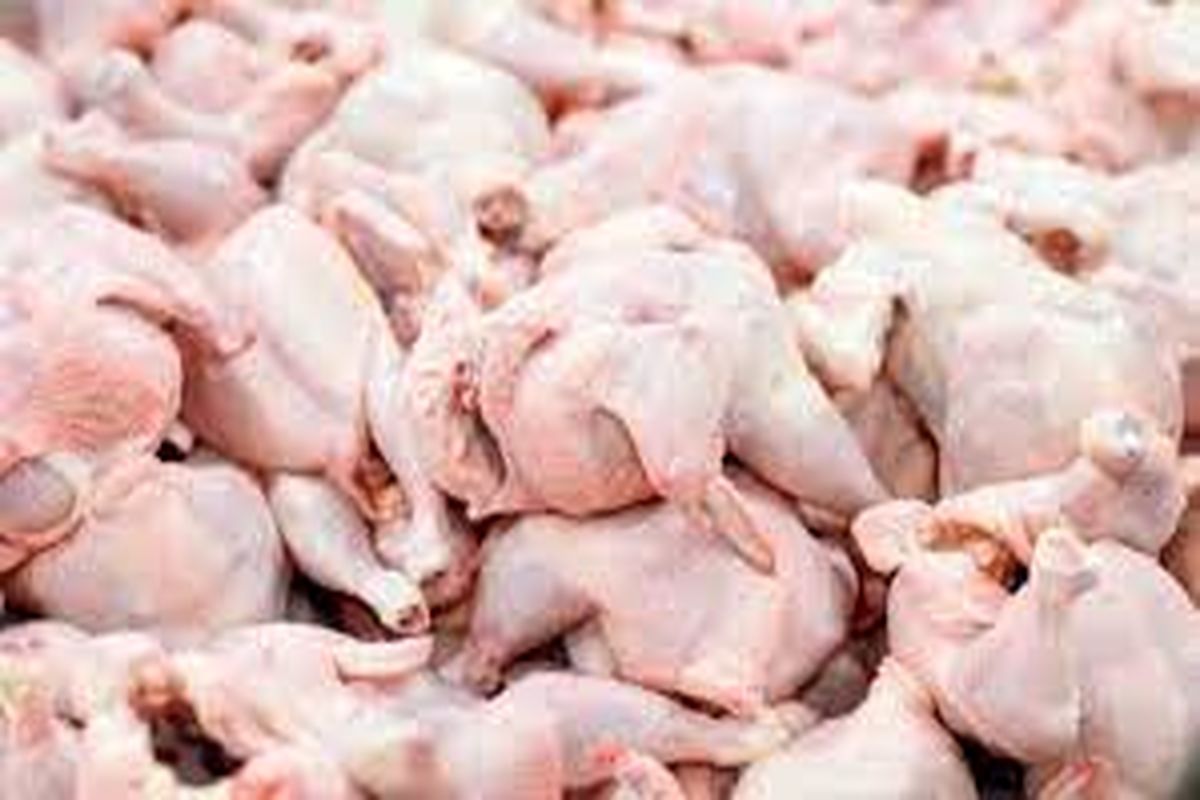 روزانه ۸۰ تن گوشت مرغ در خراسان شمالی توزیع می شود