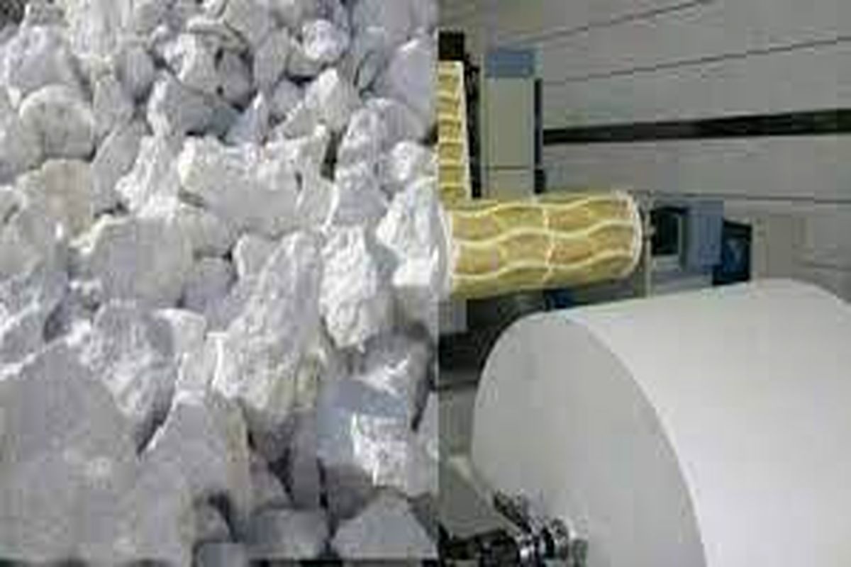 خراسان شمالی یکی از استان هایی است که ظرفیت خوبی برای تولید کاغذ سنگی در کشور دارد