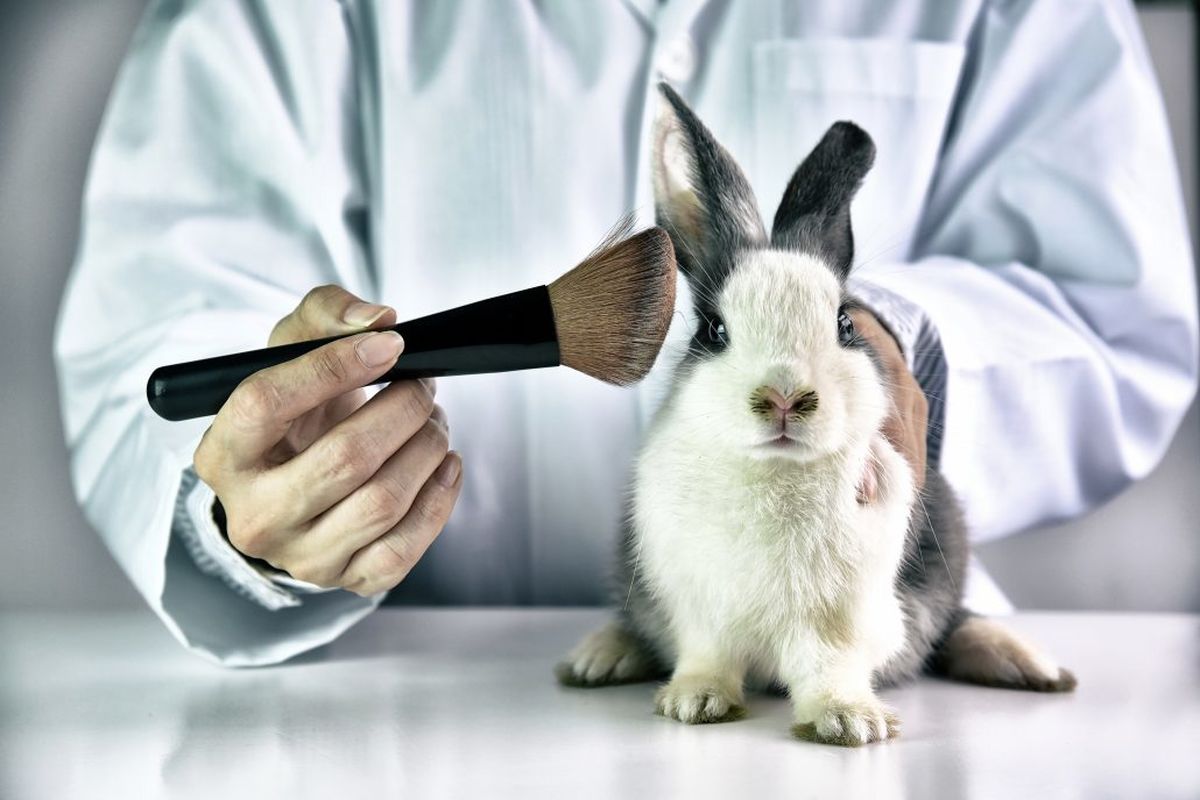 تلف شدن سالانه ۱۰۰ میلیون حیوان در تست‌های حیوانی/هر ثانیه ۳۳ حیوان در آزمایشگاه‌های دنیا از بین می‌روند/وزارت بهداشت و علوم به بخشنامه ممنوعیت تست حیوانی اهمیتی نمی‌دهند