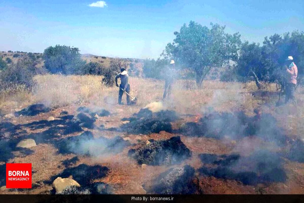 آتش به جان ۱۰ هکتار از پارک ملی بموی شیراز افتاد