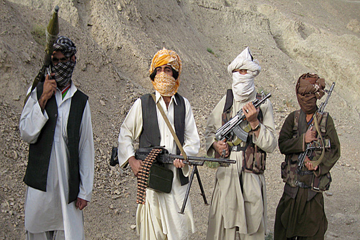 ۱۳۵ عضو گروه طالبان کشته شدند