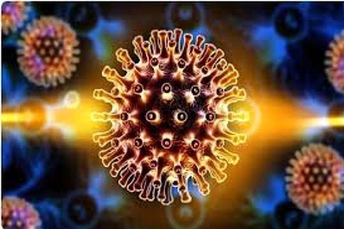 ویروس کرونای هندی تاکنون در ۱۷ کشور دیده شده است