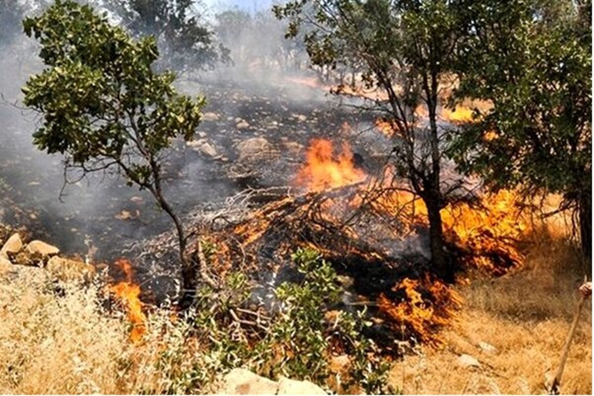 آتش سوزی گسترده در جنگل ها و مراتع سروآباد
