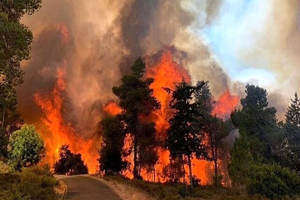 وقوع آتش سوزی در کوه ها!