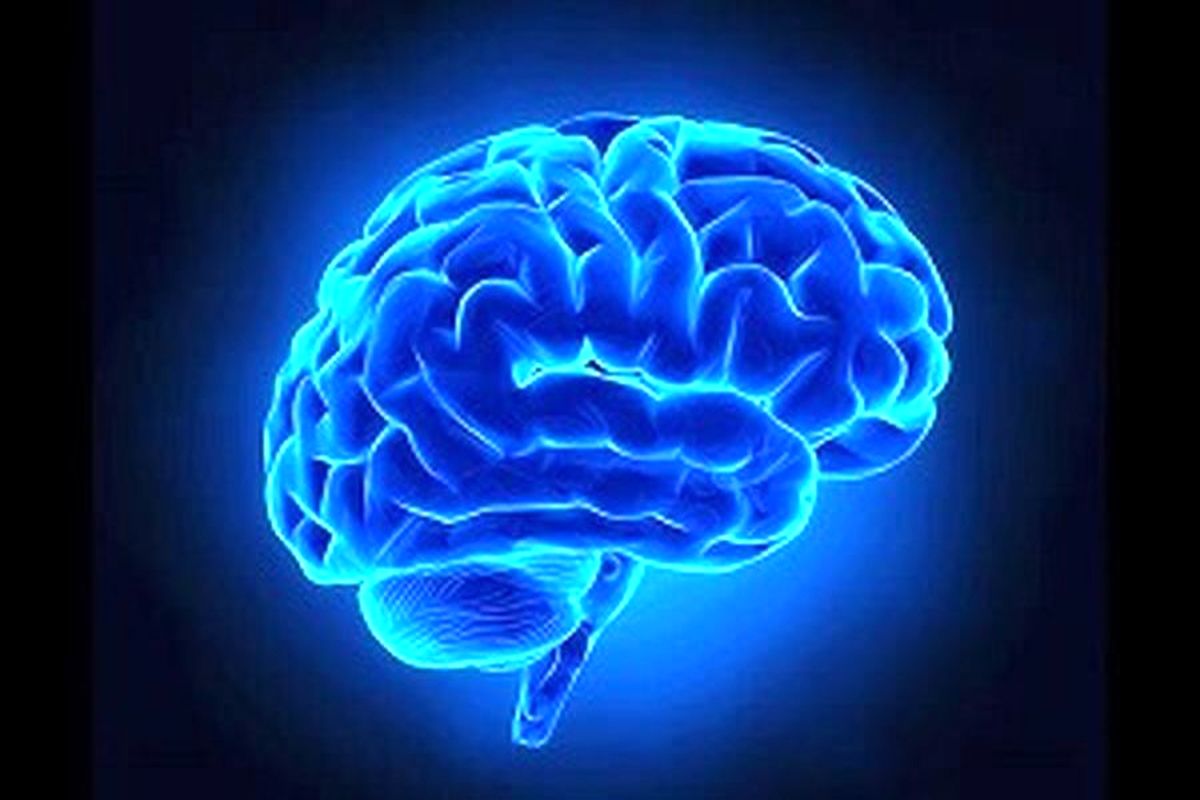 آیا می دانید مغز شما چند سال سن دارد؟