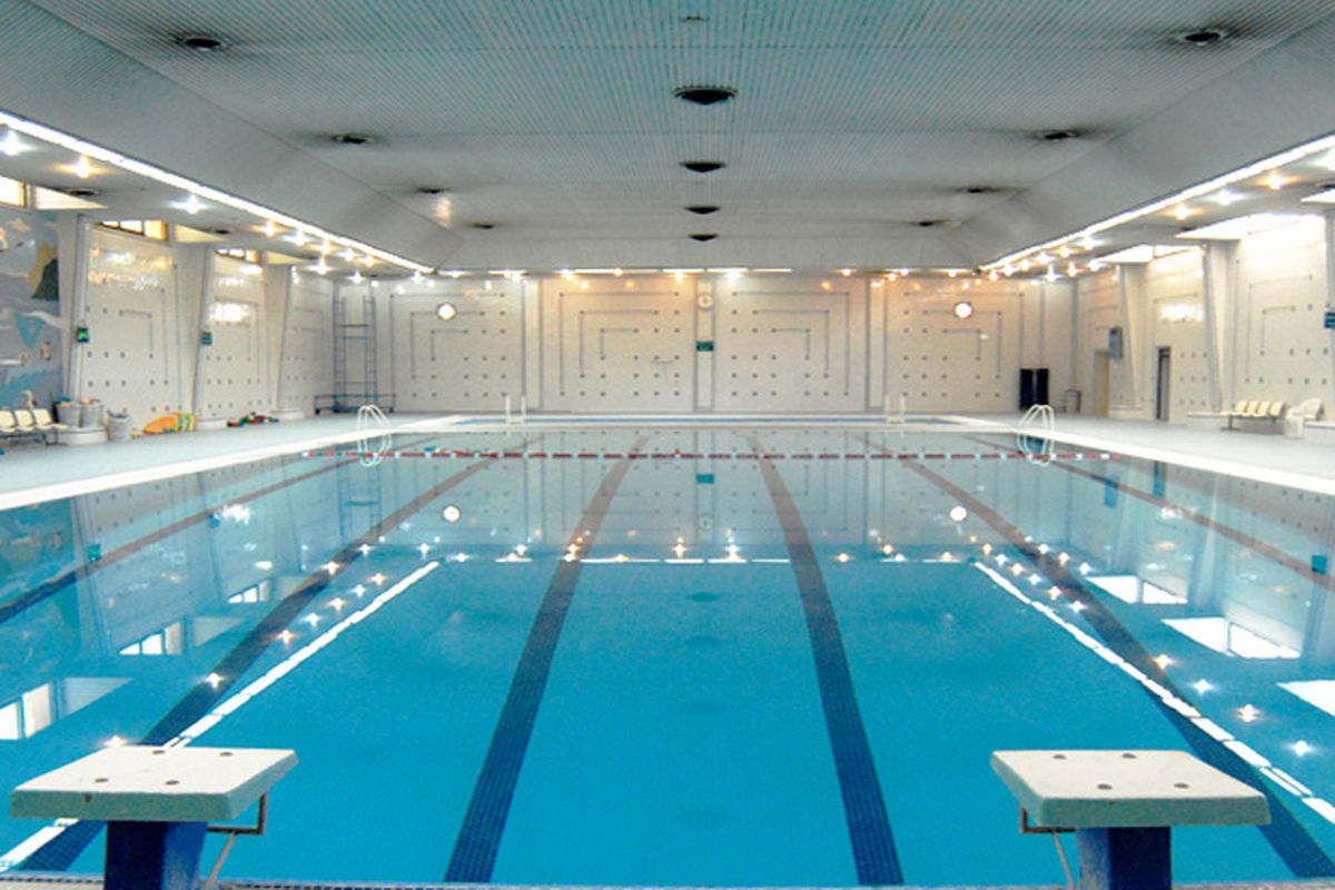 دورخیز شناگران ایران برای کسب سهمیه المپیک