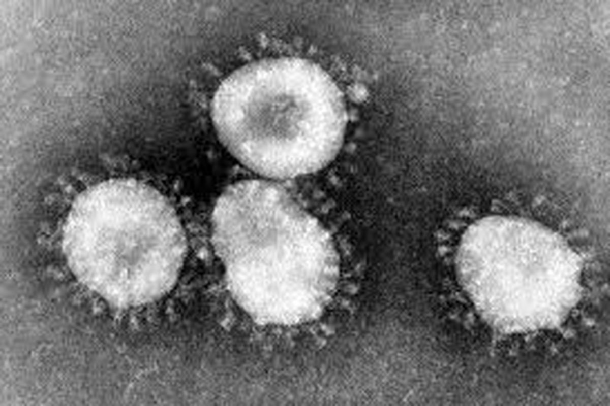 احتمال آزمایشگاهی بودن ویروس کرونا دوباره قوت گرفت!