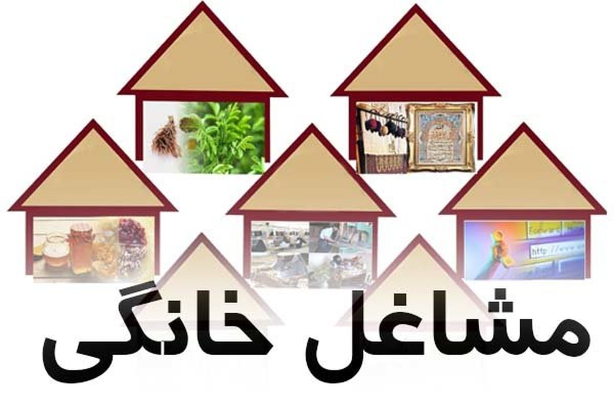 ۷۰۷ فقره تسهیلات مشاغل خانگی در زنجان پرداخت شده است
