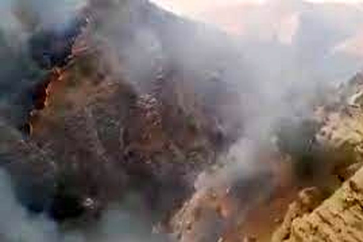درخواست کمک برای مهار آتش سوزی نارک گچساران