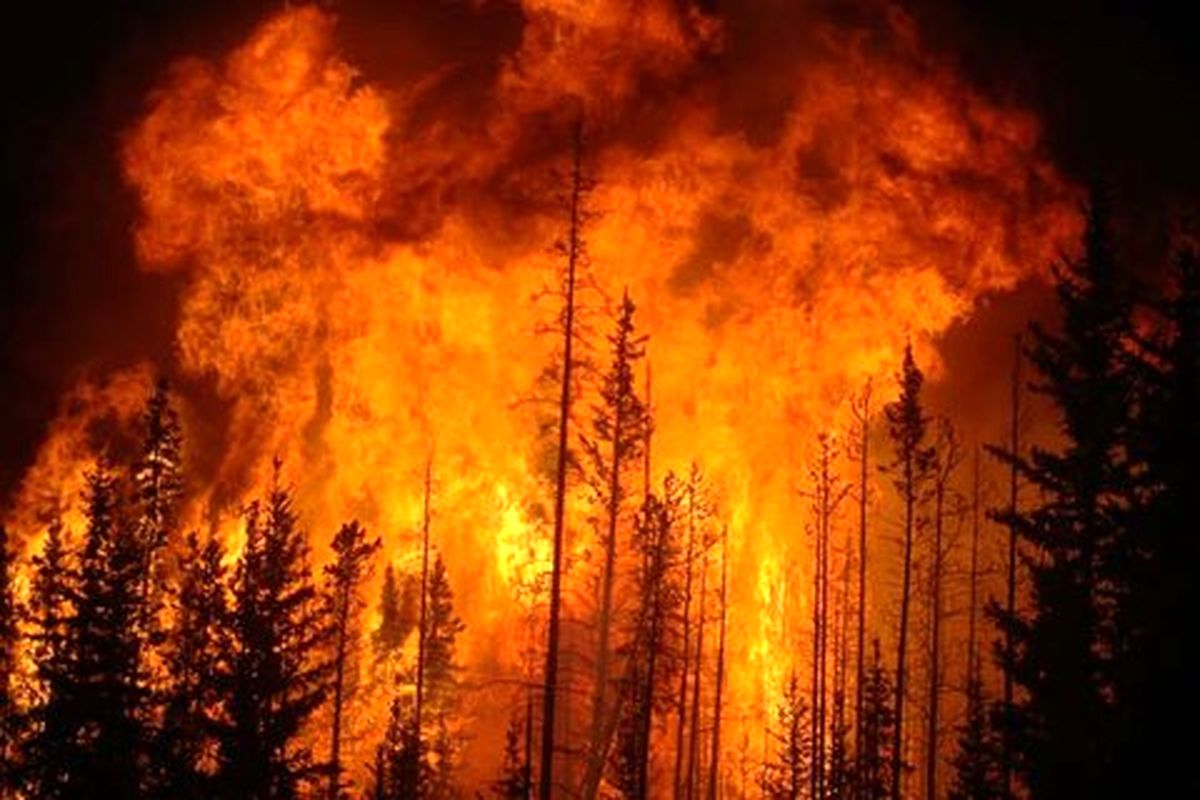 ۱۰۰ ساعت تلاش از زمین و هوا توسط نیروها و بالگردها/ آغاز آتش سوزی در جنگل‌های منطقه حفاظت شده «خامی» و «مارین»
