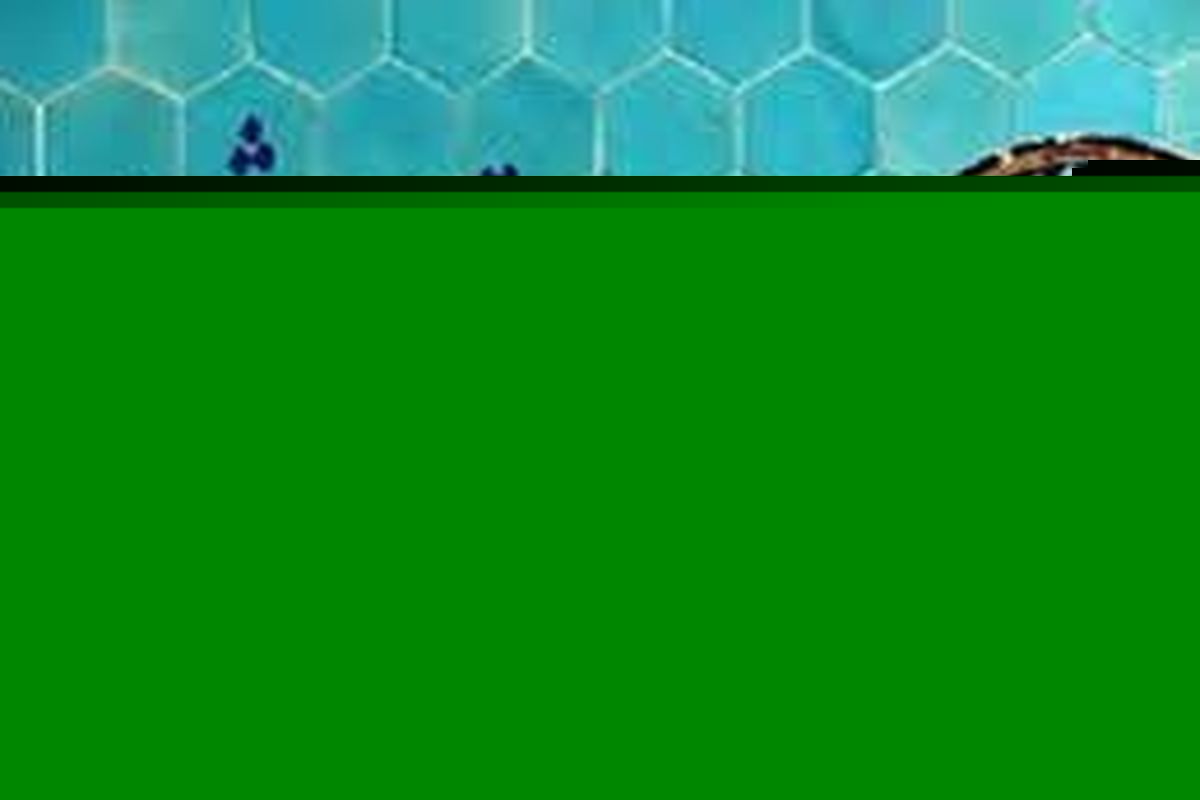 اوقات شرعی قزوین در روز ۲۵ تیرماه ۱۴۰۰