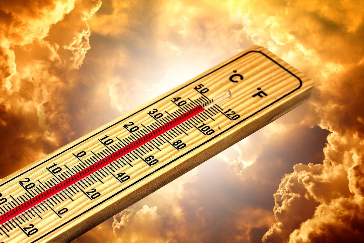 آیا واقعا بدن می‌تواند تغییرات دمایی شدید را در تابستان تحمل کند؟