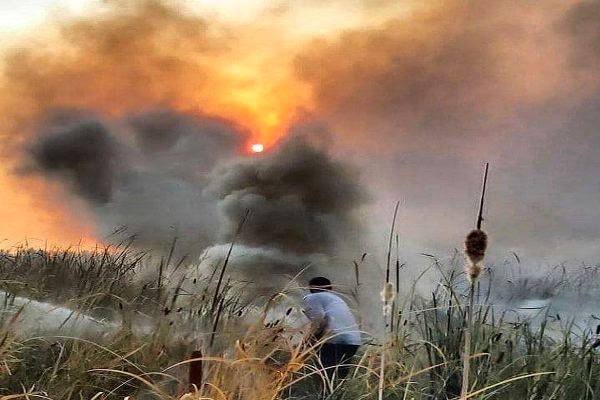 مهار آتش سوزی در پارک ملی دریاچه ارومیه