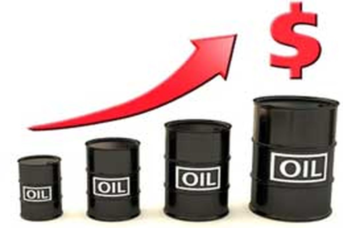 قیمت نفت خام افزایش یافت