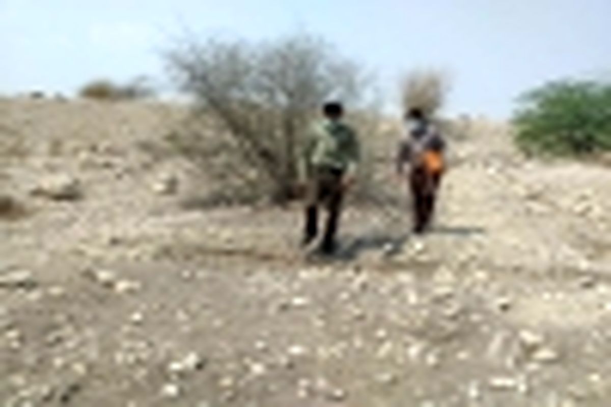 جلوگیری از تصرف اراضی ملی منطقه درگیر ایسین در شهرستان بندرعباس