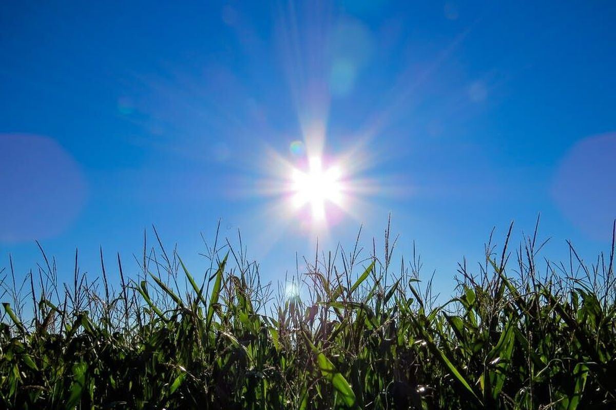 کاهش خطر زایمان زودرس به کمک پرتوهای خورشید