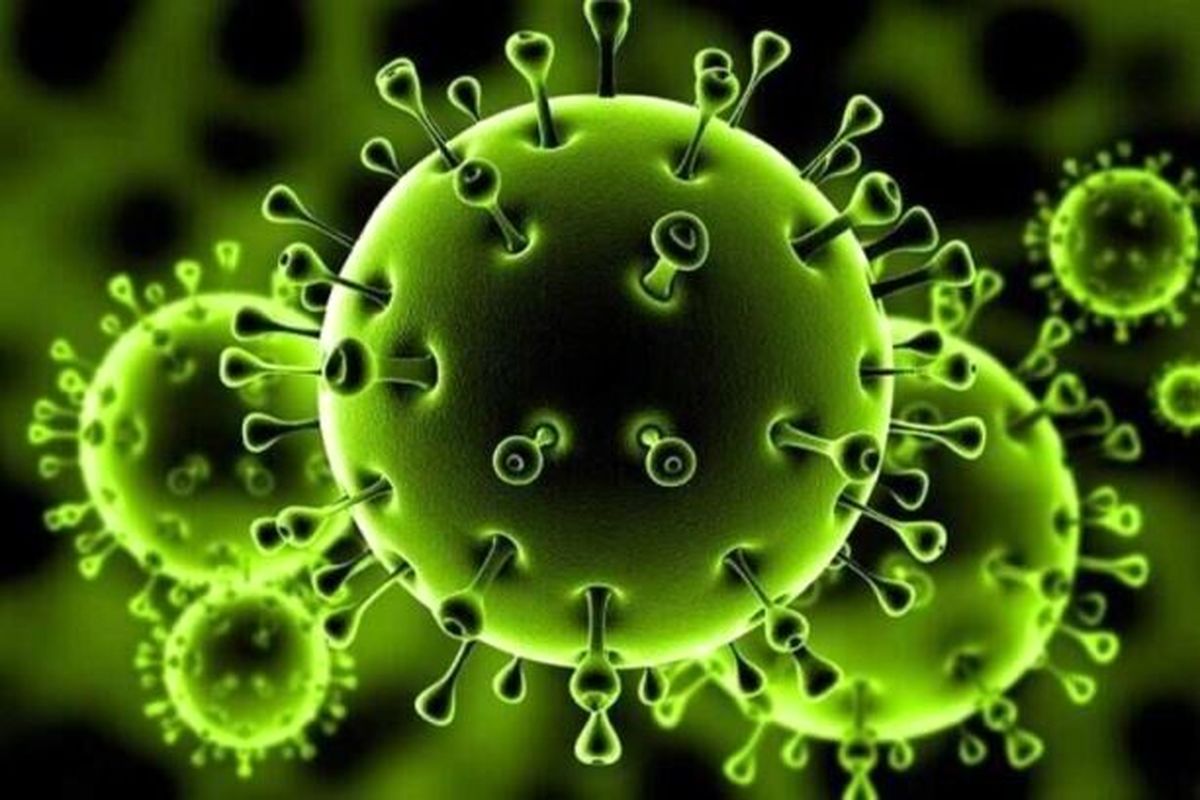 نتیجه گیری جامعه اطلاعاتی آمریکا در مورد منشا ویروس کرونا