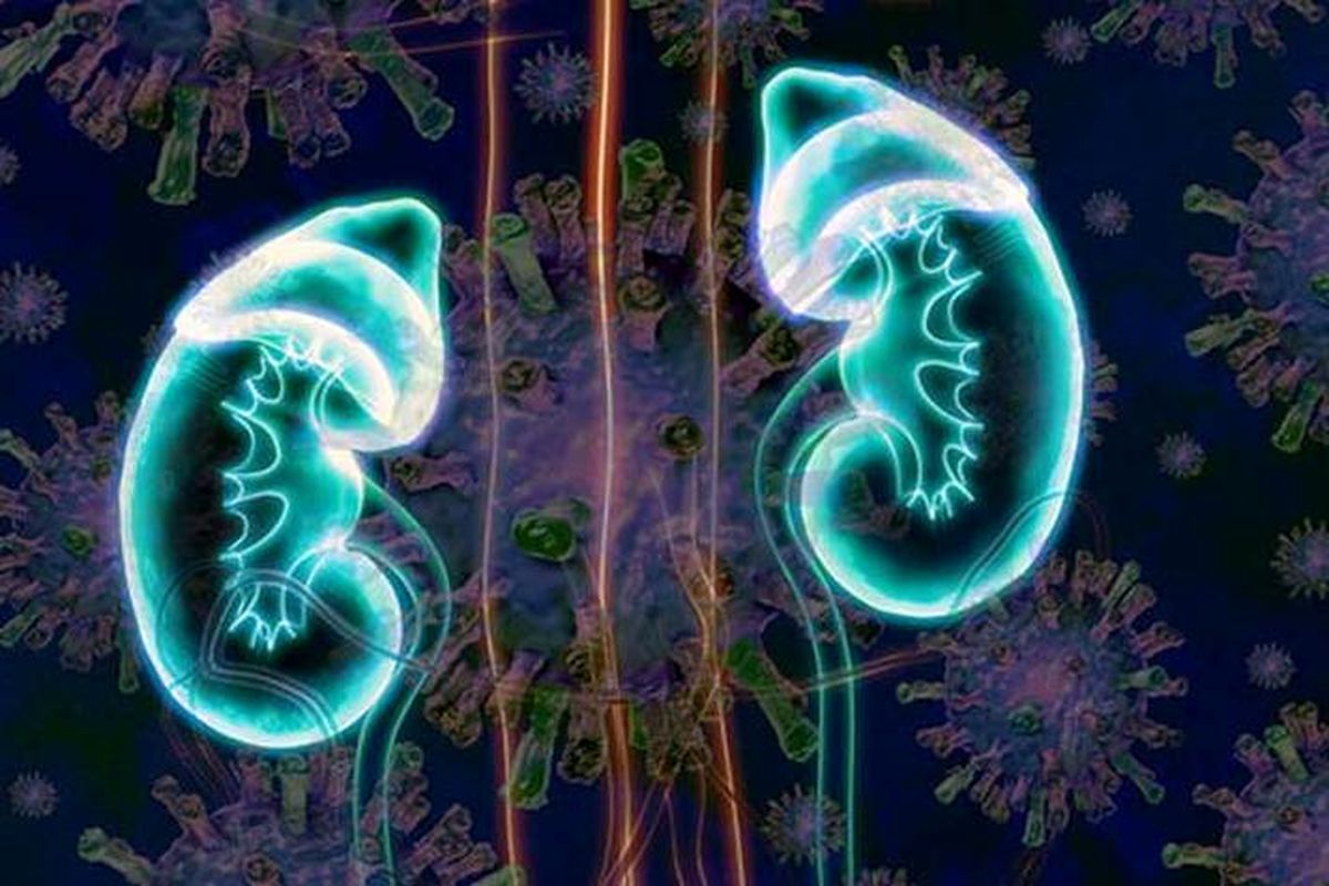 نجات ندادن شرم‌آور بیمار کلیوی بخاطر دختر بودن!