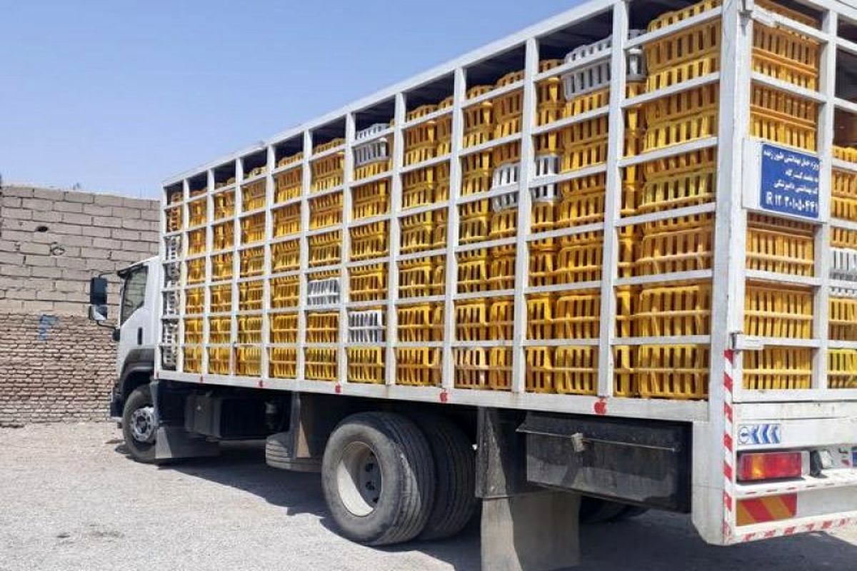 کامیون حامل مرغ زنده قاچاق در قزوین توقیف شد