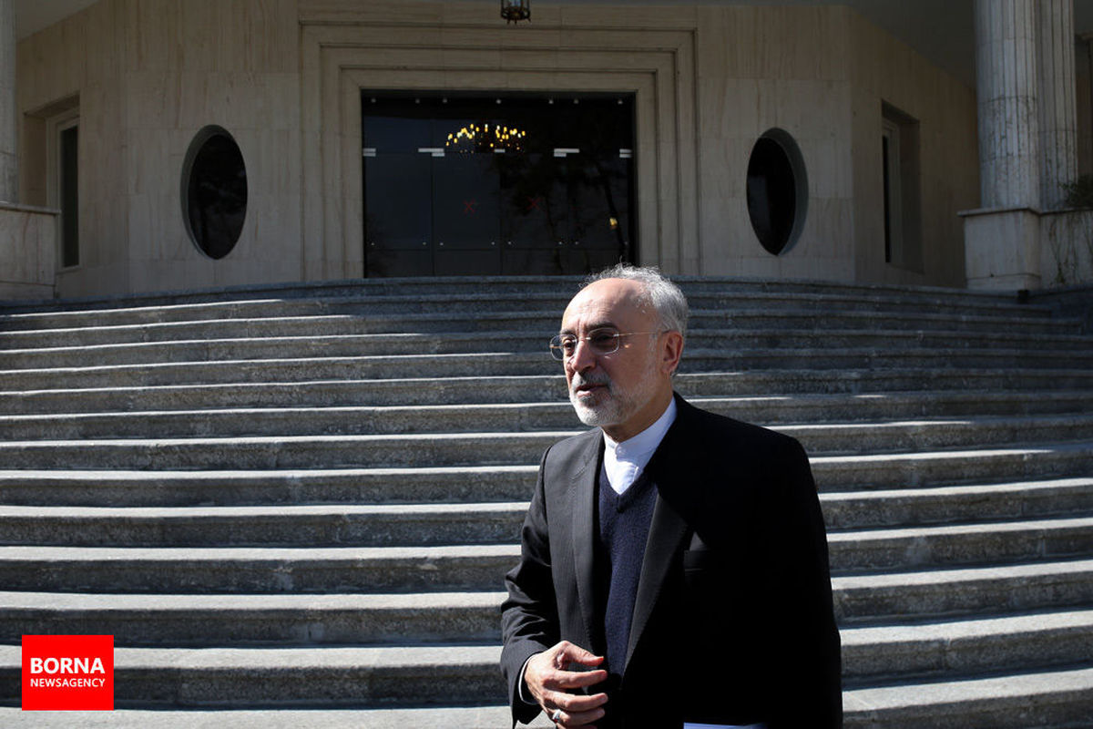 صالحی به رئیس سازمان انرژی اتمی ایران تبریک گفت
