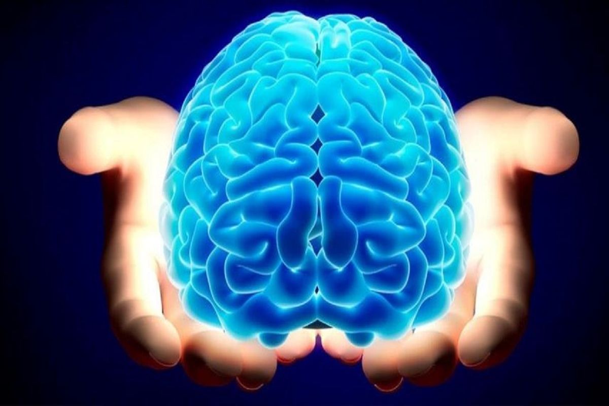 مغز انسان در سر است یا روده؟