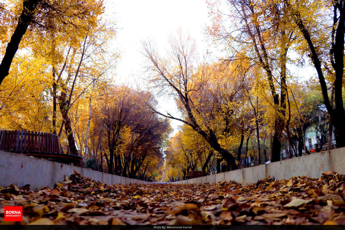 پاییز سلامت انسان را تحت تاثیر قرار می دهد