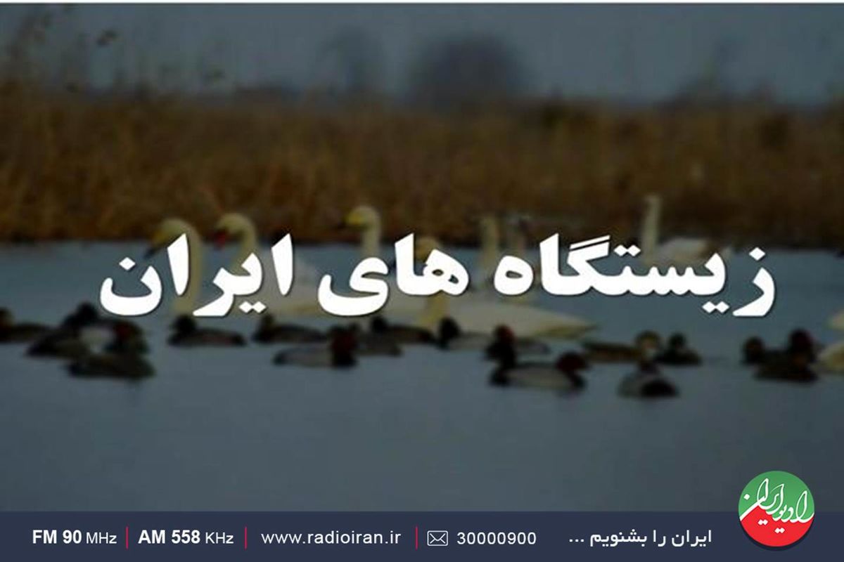 فعالیت های انسانی به برخی زیستگاه های ایران آسیب رسانده است