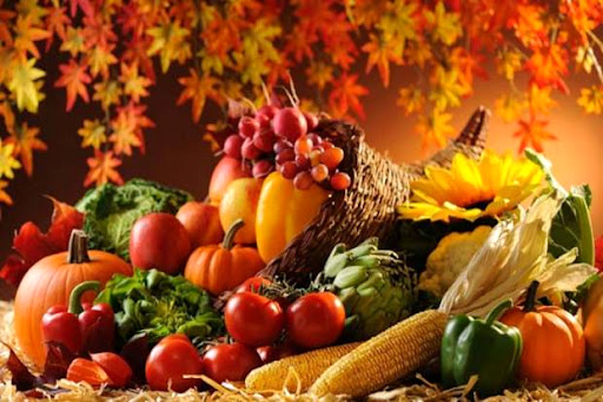چند توصیه طلایی برای تغذیه سالم در پاییز