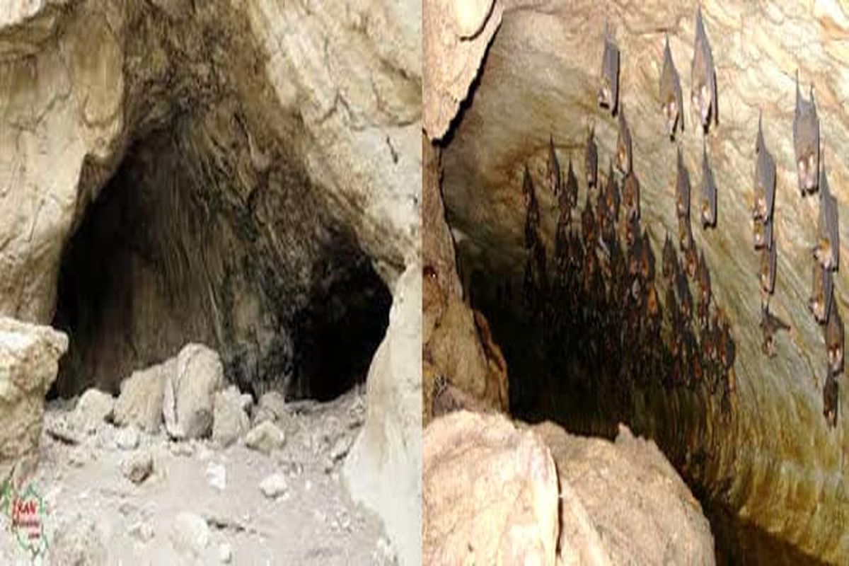 ورود به غار صدهزار ساله برای دیدن خفاش ها