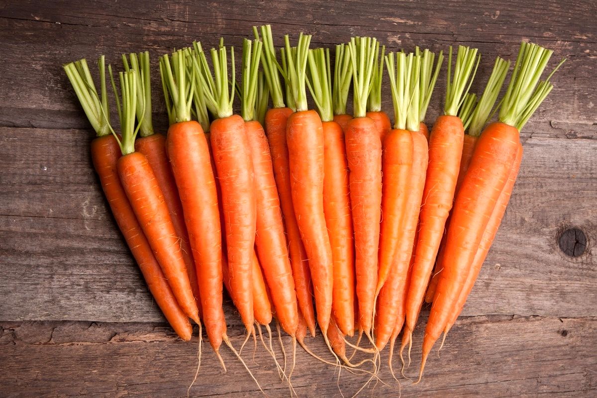 فواید هویج را بیشتر بشناسید