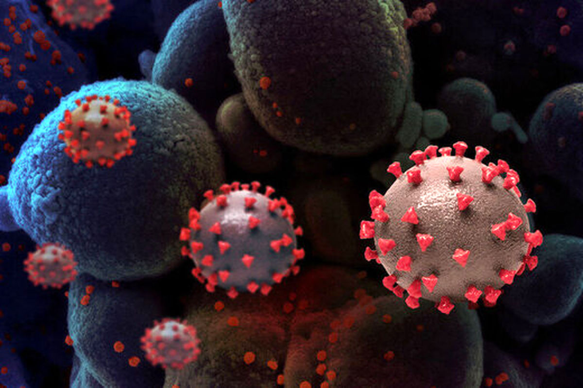 گزارش اطلاعاتی غیر حرفه ای آمریکا درباره منشاء ویروس کرونا چیست؟